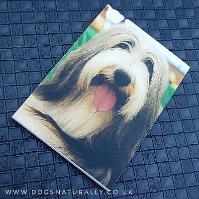 Bearded Collie Magnetic Note Pad Standard